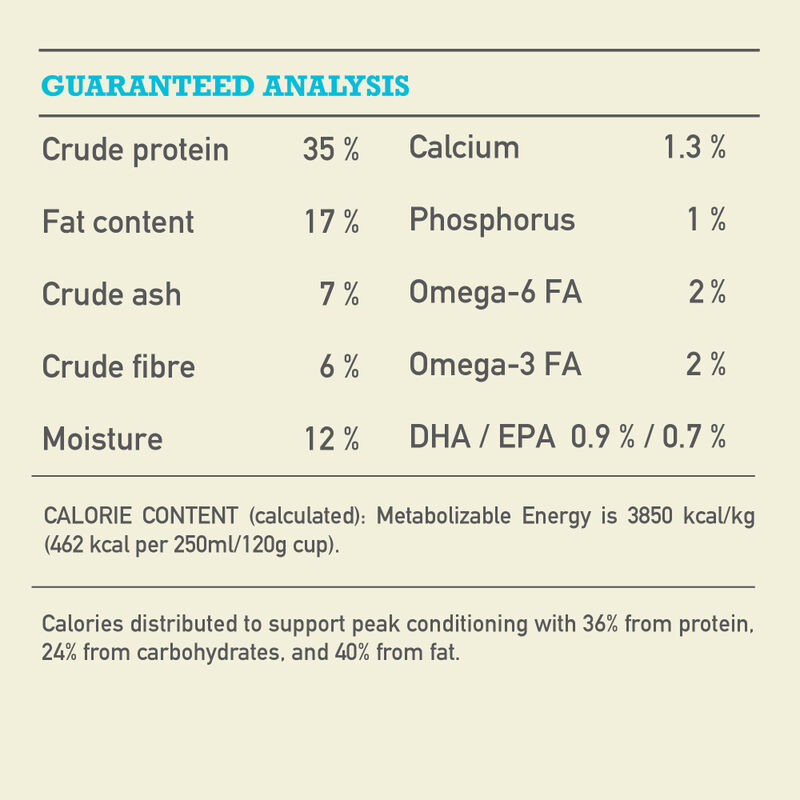 Acana, Adult Pacifica - Dry Dog Food image number null