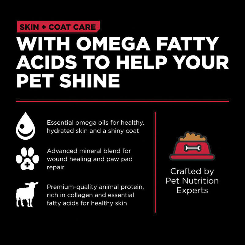 GO! SOLUTIONS SKIN + COAT CARE Lamb Recipe for dogs image number null