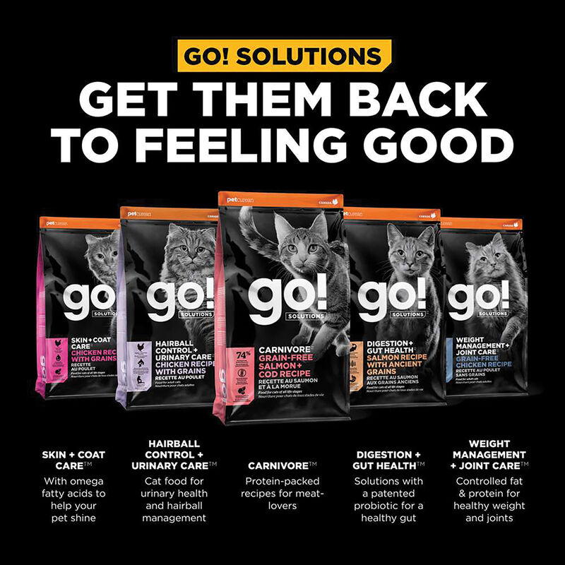 GO! SOLUTIONS, Feline Adult - Sensitivities Limited Ingredient Grain Free - Salmon - Dry Cat Food image number null
