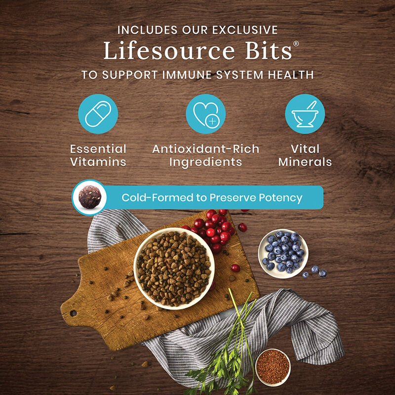 Blue Buffalo, Wilderness - Beef - Dry Dog Food image number null