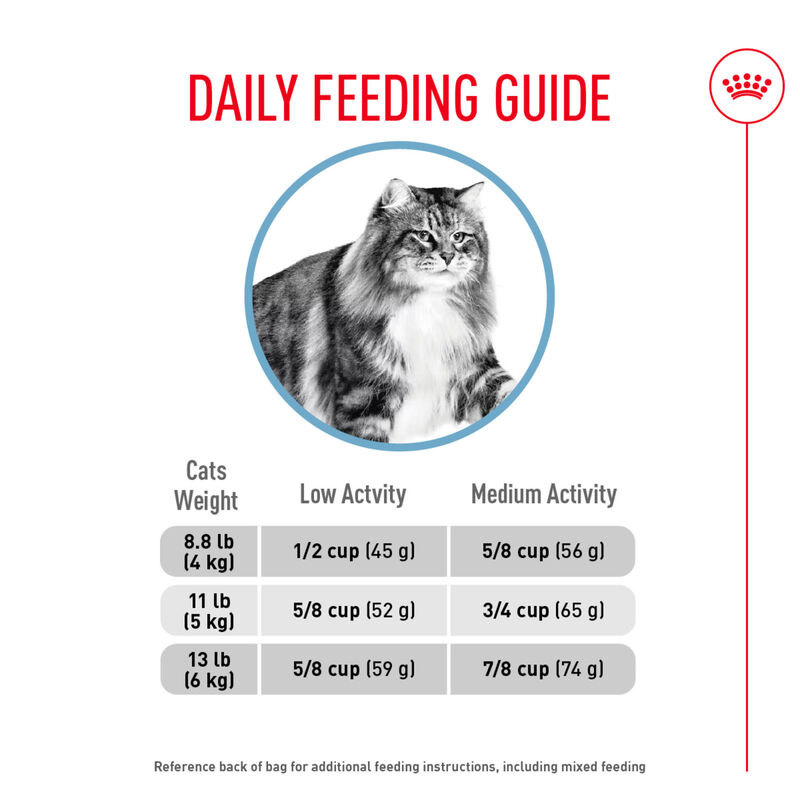 Royal Canin, Feline Care Nutrition - Urinary Care - Dry Cat Food image number null