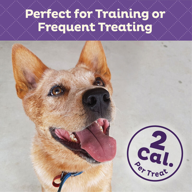 Training Bitz - Assorted - 227 g image number null