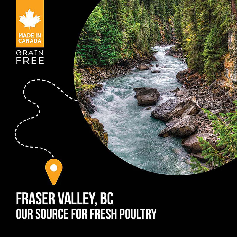 Nutrience, Adult Small Breed - SubZero Grain Free - Fraser Valley - Dry Dog Food image number null