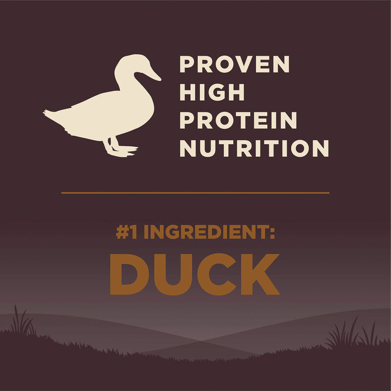 Wellness, Core, Grain Free Wild Game - 9.98 kg - Dry Dog Food image number null