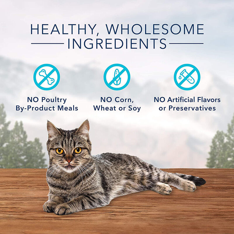 Blue Buffalo, Feline Treat - Wilderness - Chicken & Turkey - 56 g - Cat Treat image number null