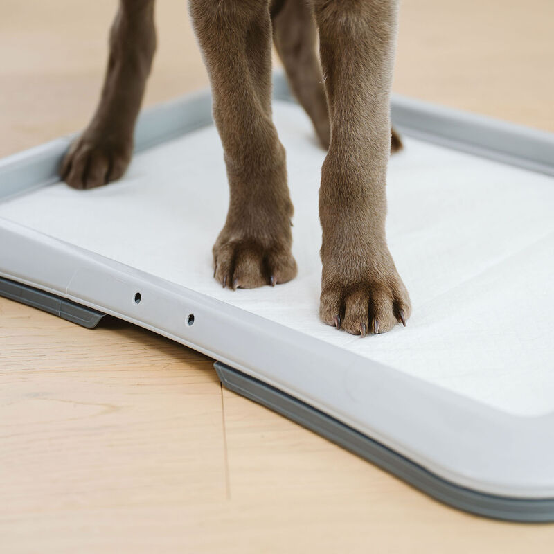 O'select Training Pads - Small Dogs and Puppies - 10 Pk image number null