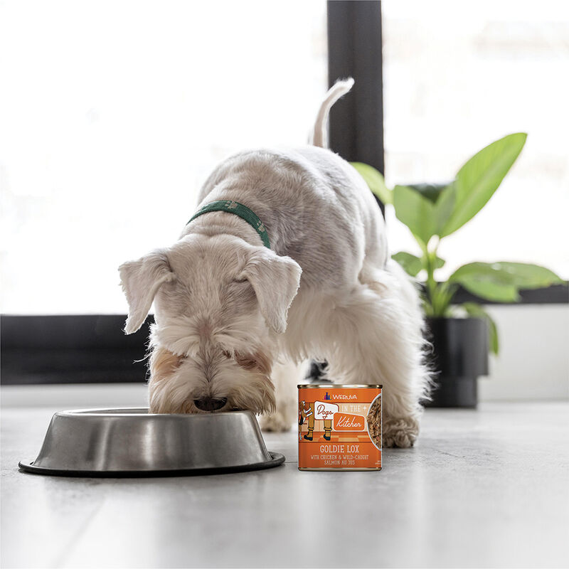 Weruva, Can, Adult - Goldie Lox - 283 g - Minced - Wet Dog Food image number null
