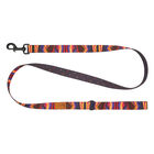 RC Pets, Eco Leash - Cosmic Aura - 1"x5' image number null