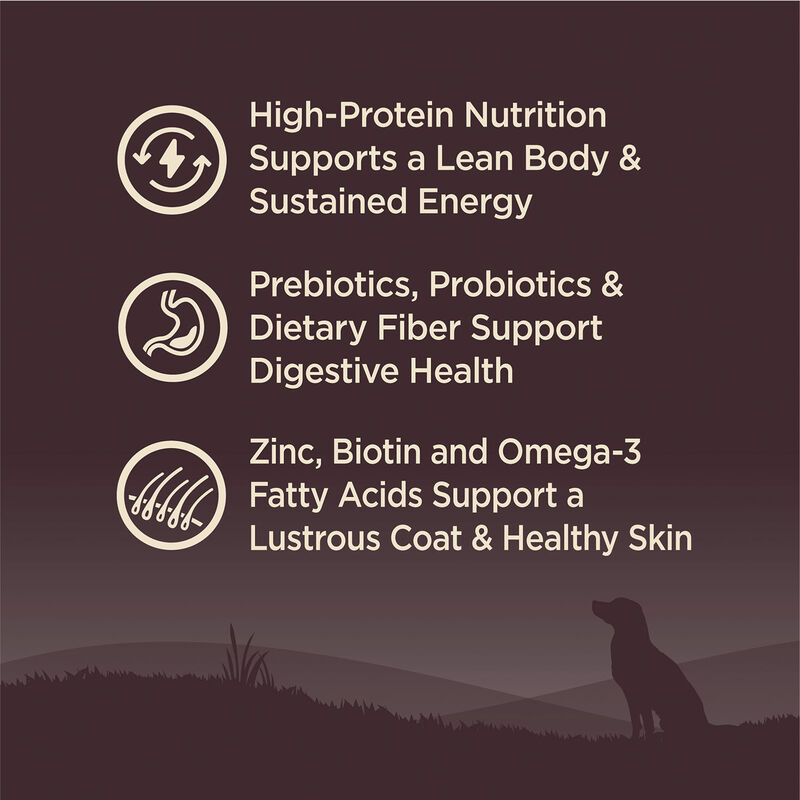 Wellness, Core, Grain Free Ocean - Dry Dog Food image number null