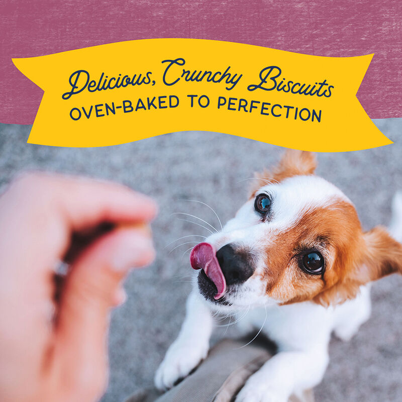 Natural Balance, Limited Ingredient Dog Treats Small Breed, Sweet Potato & Venison - Dog Biscuit image number null