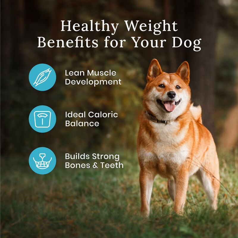Blue Buffalo, Wilderness with More Meat & Wholesome Grains Large Breed Healthy Weight Adult Dog - Ch image number null