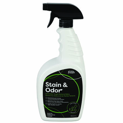 Enviro Fresh, Stain & Odor Eliminator - 950 ml