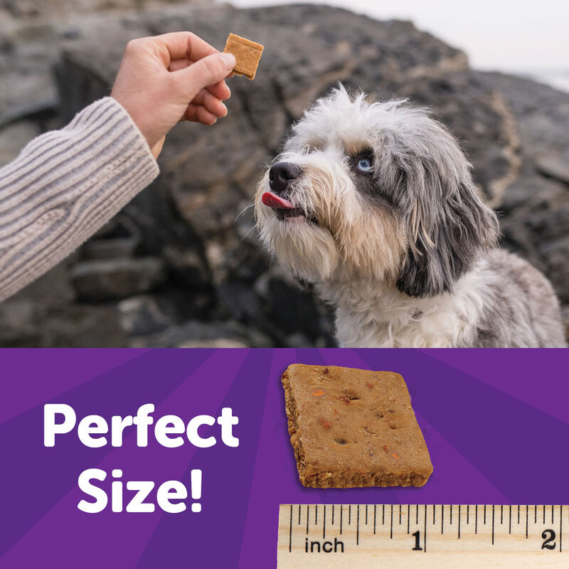 Wellness, Wellbites, Lamb & Salmon Soft Dog Treats - 6 oz - Dog Treat image number null