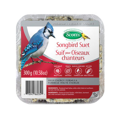 Scott's, Songbird Blend Suet - 300 g