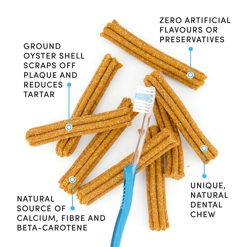Crumps' Naturals, Plaque Buster 7" - Pumpkin - 30pk - Dog Treat image number null