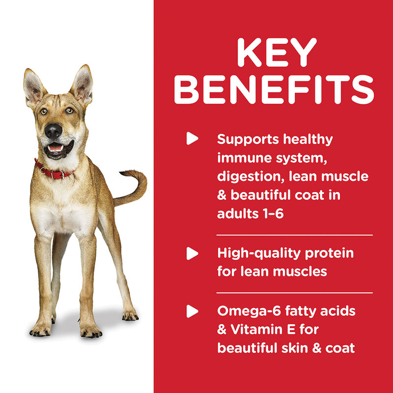 Science Diet, Adult Beef & Barley Canned Dog Food, 370 g - Wet Dog Food image number null