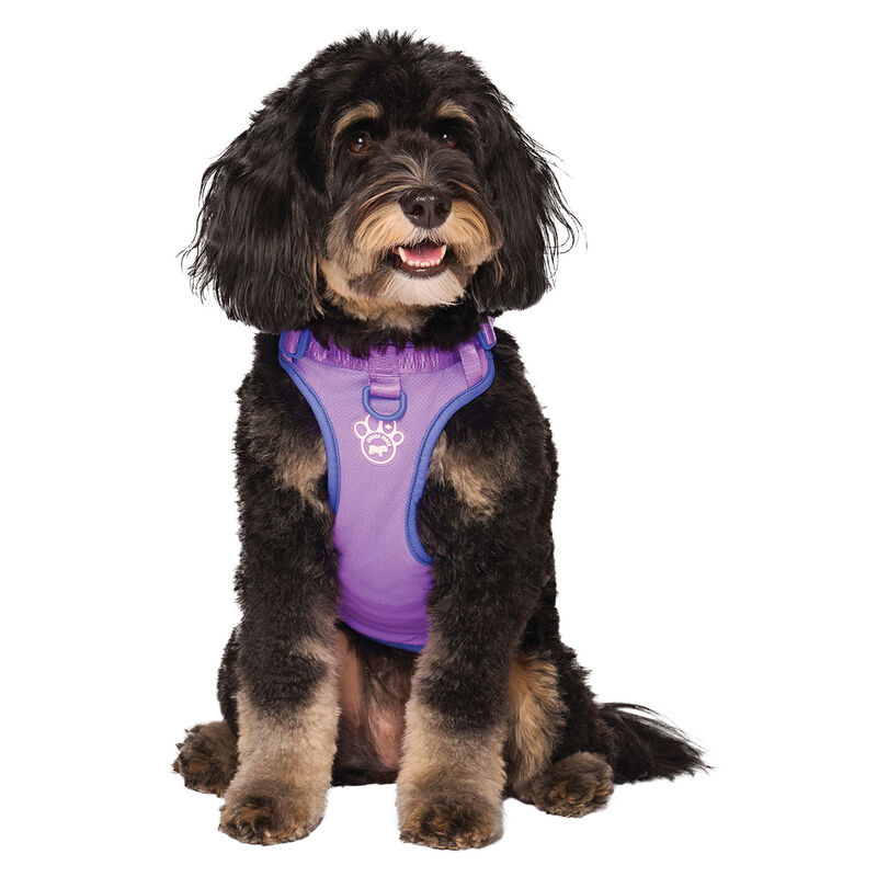 Canada Pooch, Max Chill Cooling Harness Purple image number null