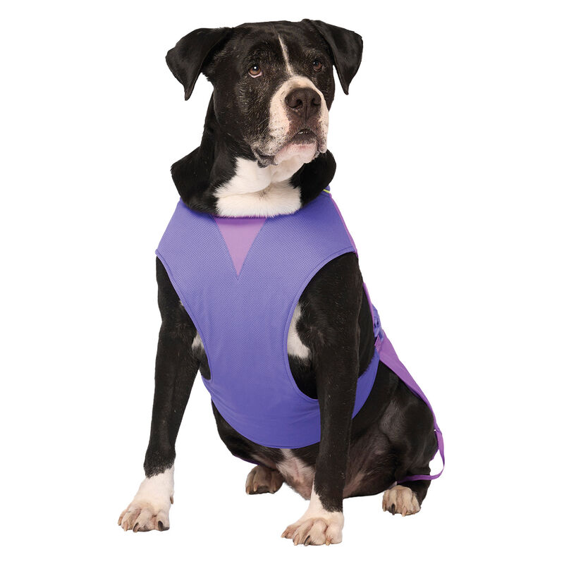 Canada Pooch, Max Chill Cooling Vest Purple image number null