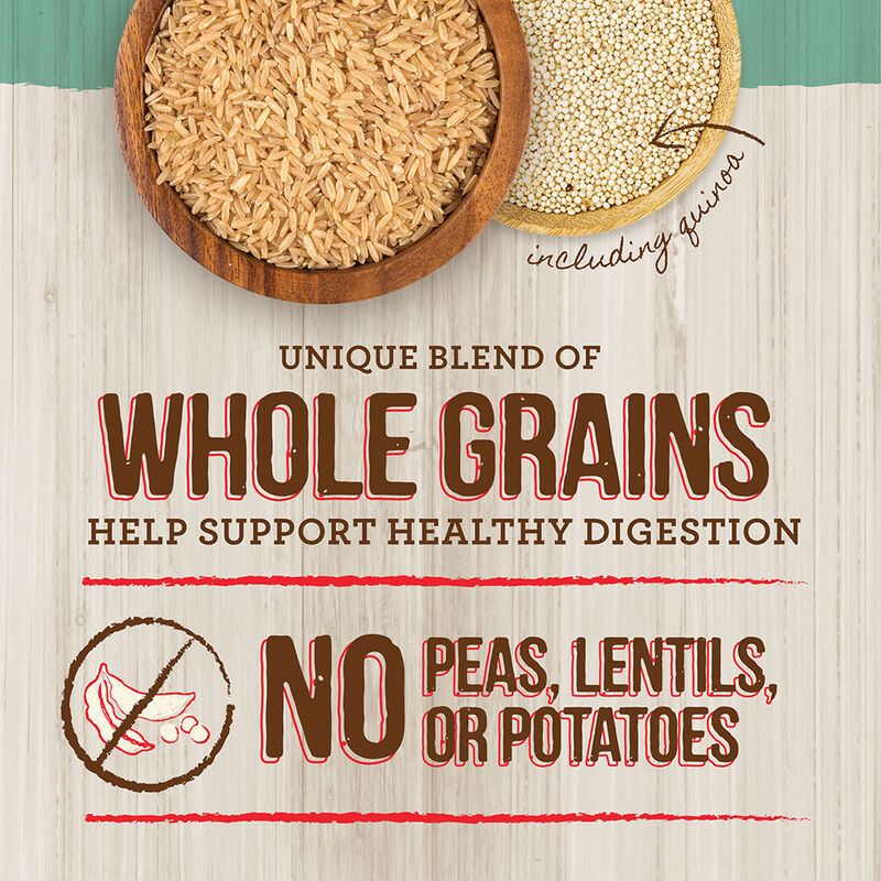 Merrick, Senior - Healthy Grains - Dry Dog Food image number null