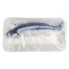 Zoom Toys, Catnip Pacific Fish Catnip Cat Toy image number null