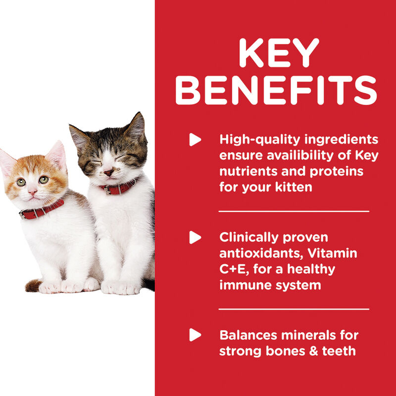 Science Diet, Kitten Liver & Chicken Canned Cat Food, 156g - Wet Cat Food image number null