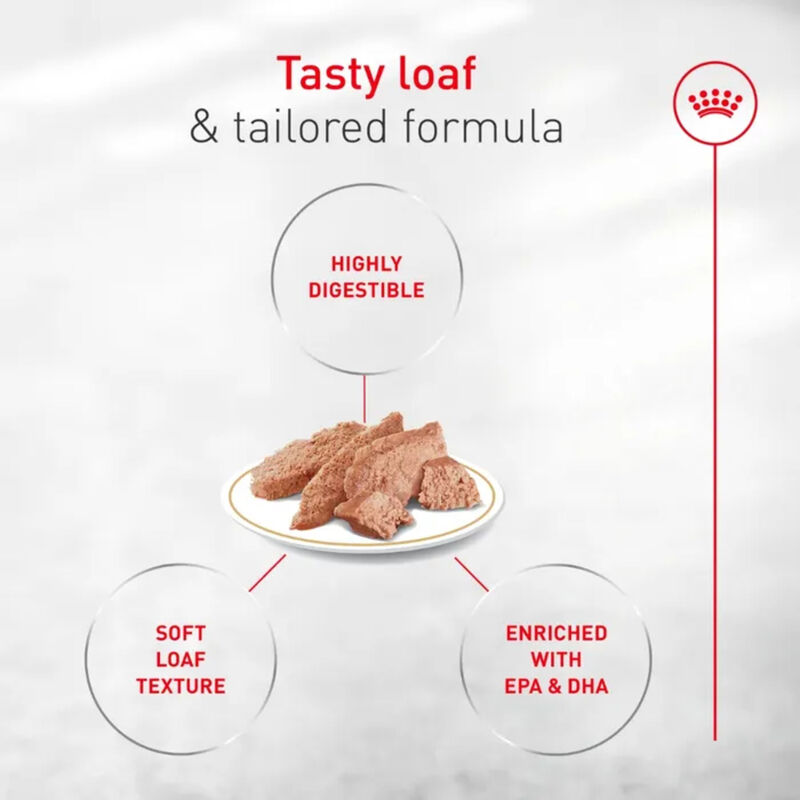 Royal Canin, Breed Health Nutrition - French Bulldog Loaf - Wet Dog Food image number null