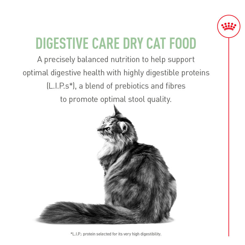 Royal Canin, Feline Care Nutrition Digestive Care Adult - Dry Cat Food image number null