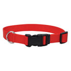 Adjustable Dog Collar with Plastic Buckle, Red, Small - 5/8" x 10"-14" image number null