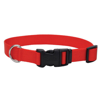 Adjustable Dog Collar with Plastic Buckle, Red, Small - 5/8" x 10"-14"