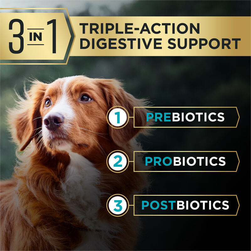 Pro Plan, AdvantEDGE - Digestive Support  Salmon & Oatmeal - Dry Dog Food image number null