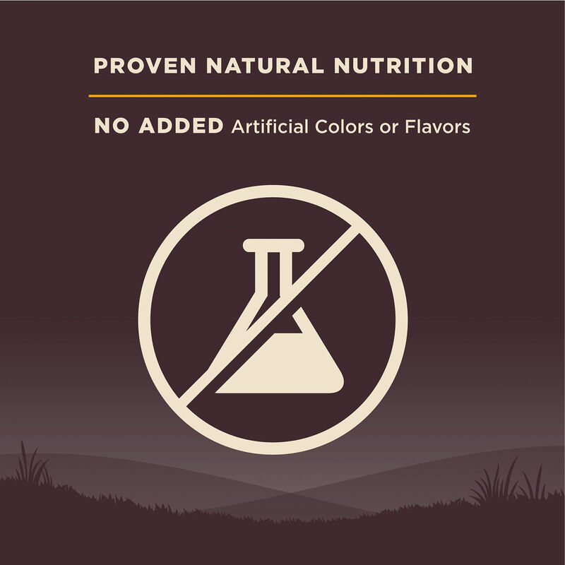 Wellness, Core, Grain Free Puppy - Dry Dog Food image number null