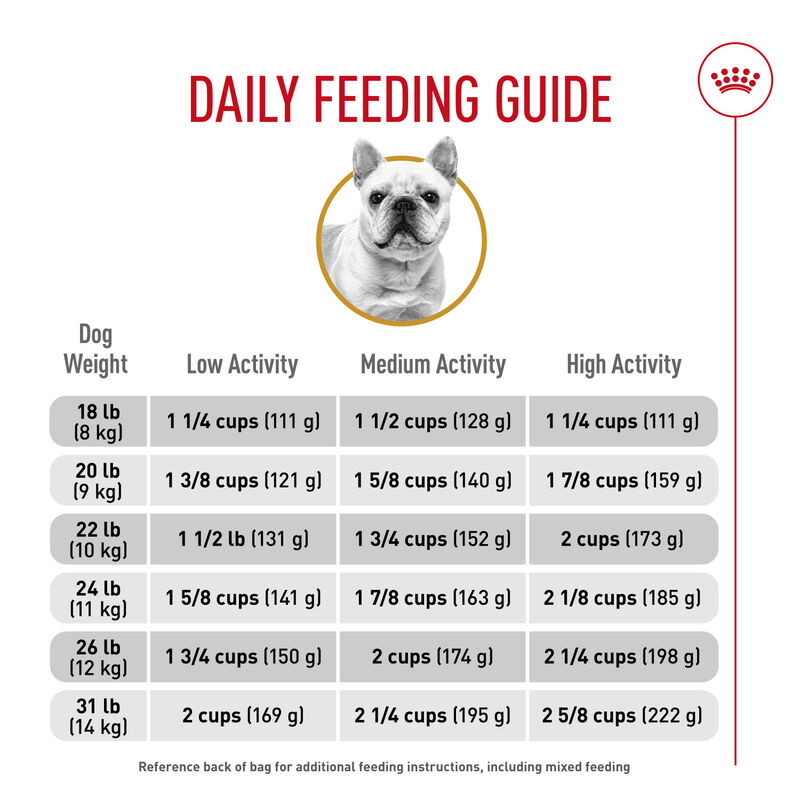 Royal Canin, Breed Health Nutrition French Bulldog Adult - Dry Dog Food image number null
