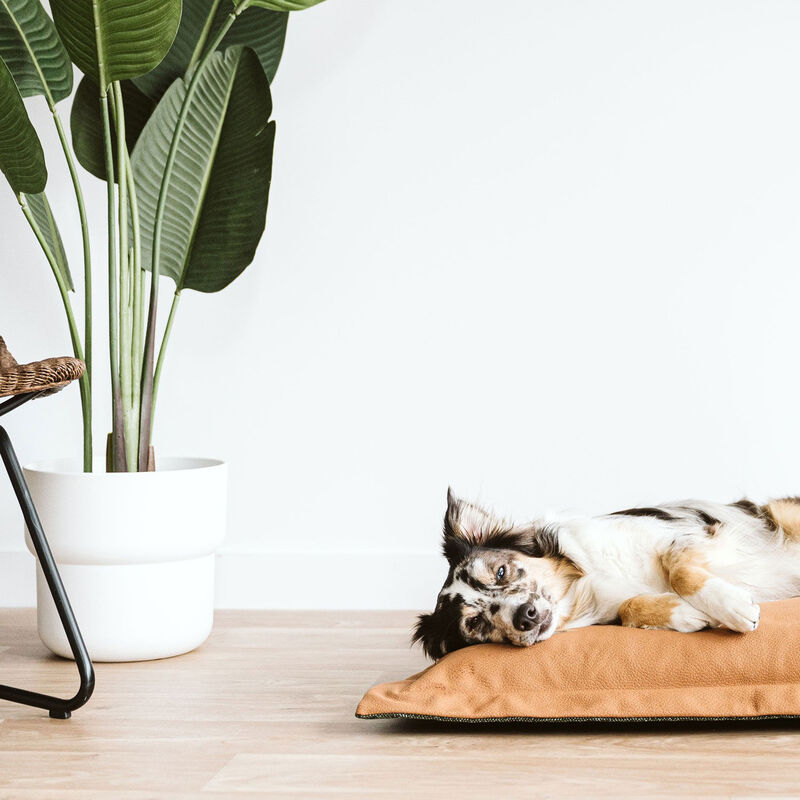 Reversible Faux Leather Cloud Pillow - Green - Med image number null