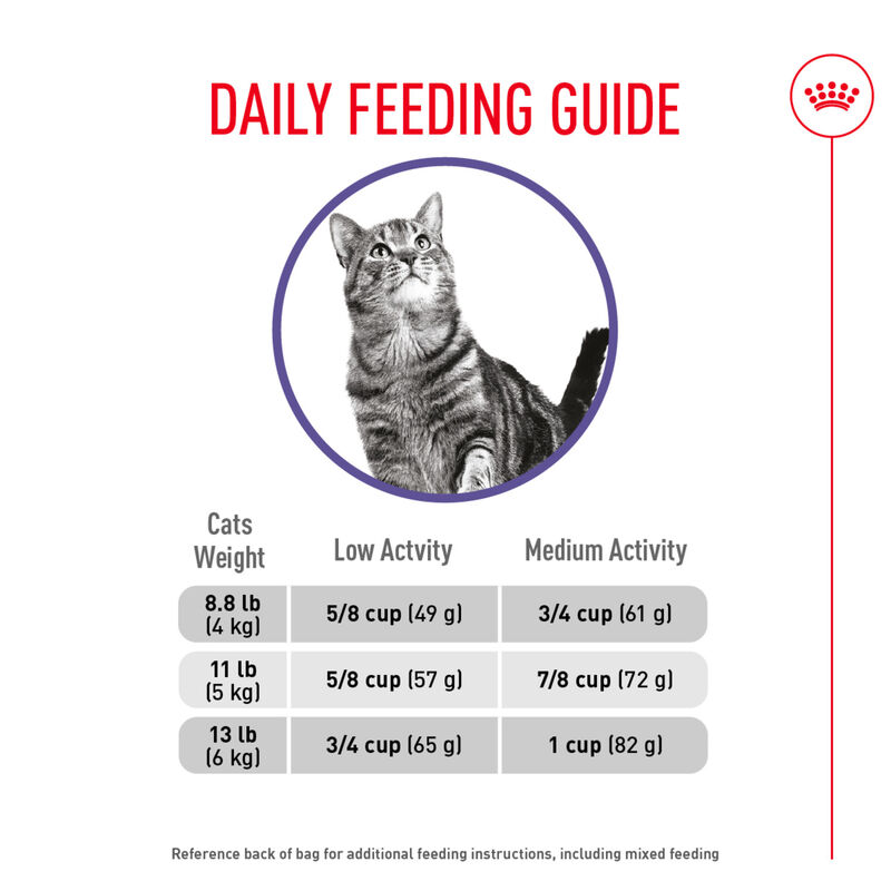 Royal Canin, Feline Care Nutrition Appetite Control - Adult - Dry Cat Food image number null