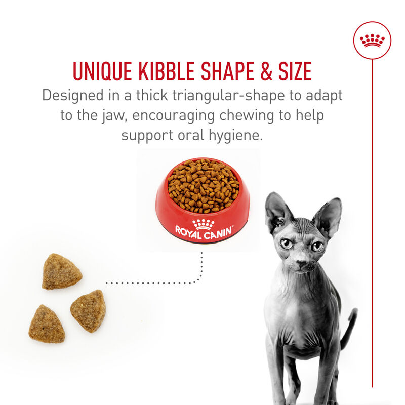 Royal Canin, Feline Breed Nutrition Sphynx - Dry Cat Food image number null