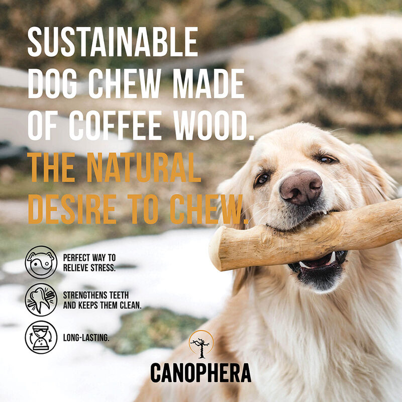 Canophera, Chew Stick - Coffee Wood image number null
