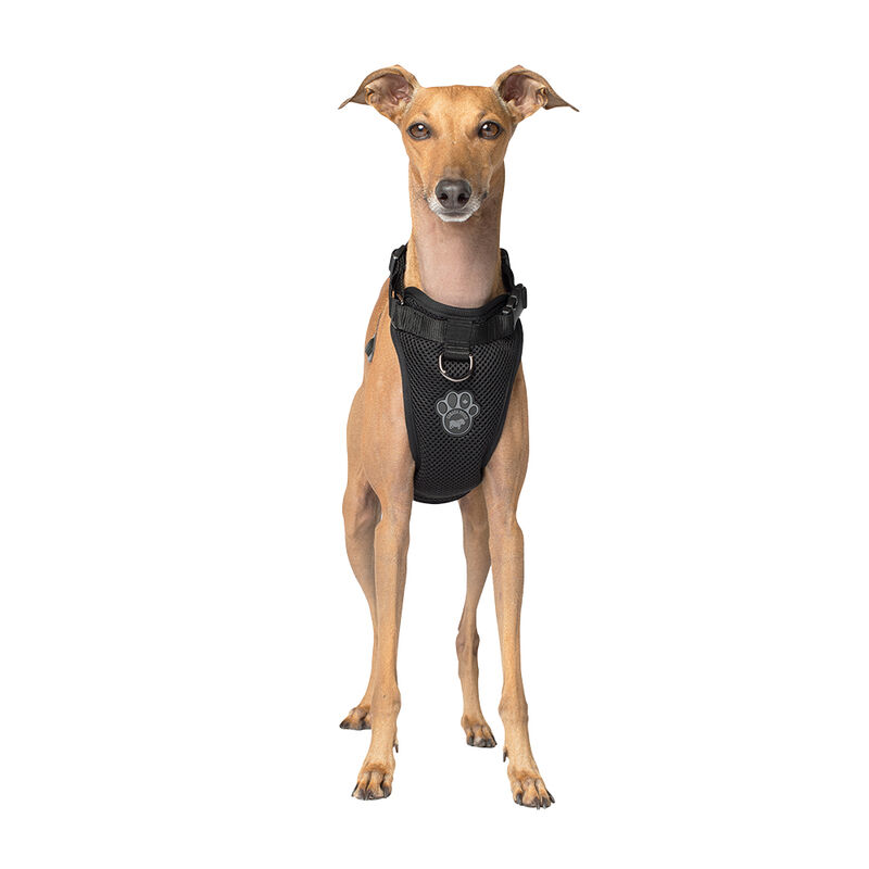 Canada Pooch, Everything Harness - Black - Dog Harness image number null