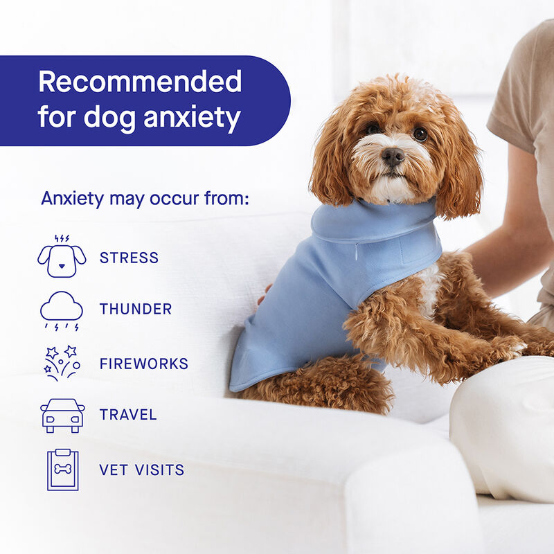 Canada Pooch, Weighted Calming Vest - Dog Anxiety image number null