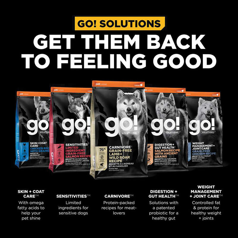GO! SOLUTIONS CARNIVORE Grain Free Lamb + Wild Boar Recipe for dogs image number null