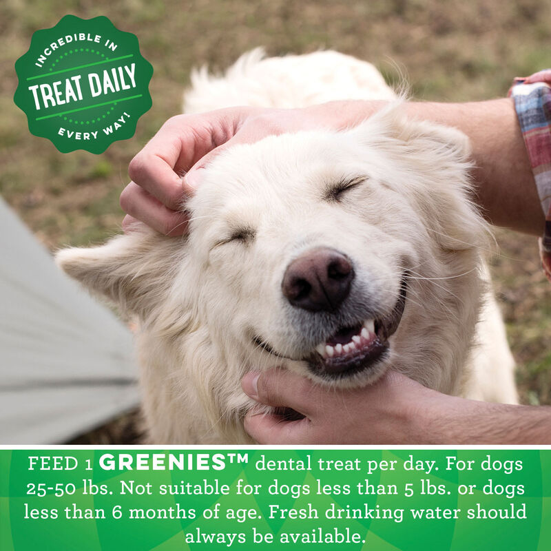 Greenies, Dental Chews Regular - Dog Treat image number null