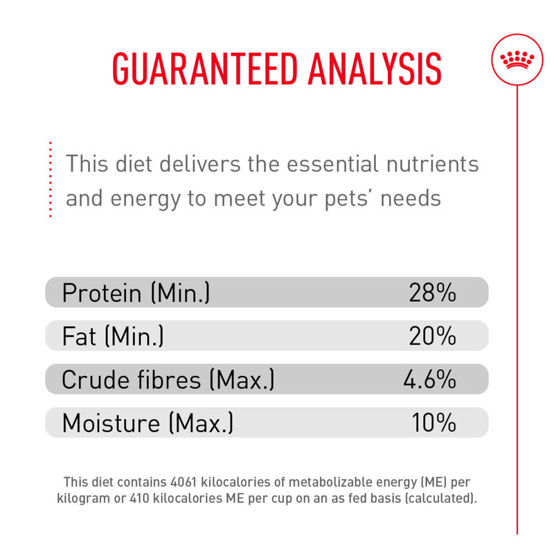 Royal Canin, Canine Care Nutrition Small Breed Fussy Appetite - 1.58 kg - Dry Dog Food image number null
