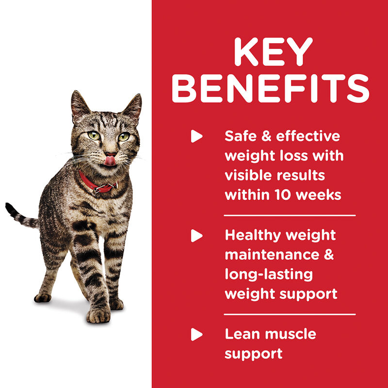 Science Diet, Perfect Weight Roasted Vegetable and Chicken Medley Canned Cat Food for healthy weight image number null