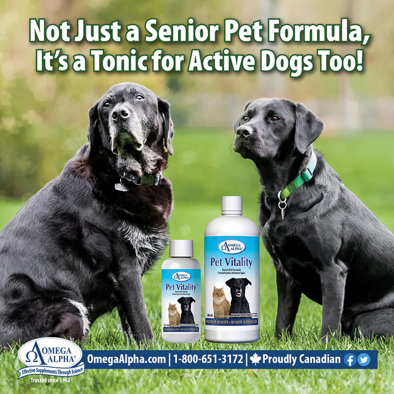 Omega Alpha, Pet Vitality - 500 ml image number null