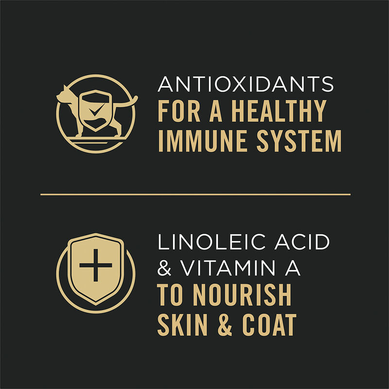 Purina Pro Plan Complete Essentials Chicken & Rice Entr&eacute;e in Gravy Adult Wet Cat Food 156g image number null