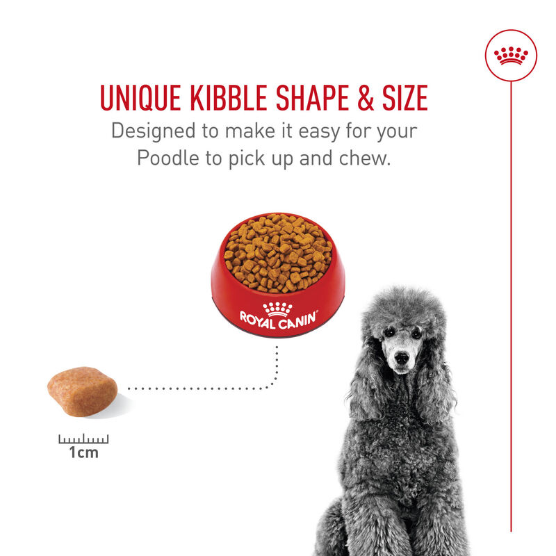 Royal Canin, Breed Health Nutrition Poodle Adult - Dry Dog Food image number null