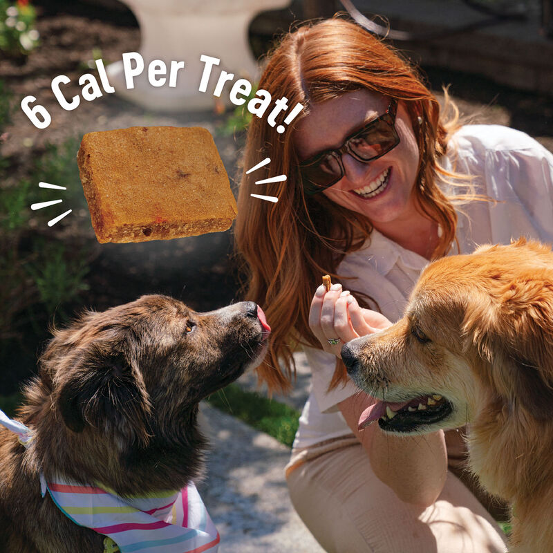 Wellness, Puppy Soft Bites - Lamb & Salmon - 227 g - Dog Treat image number null