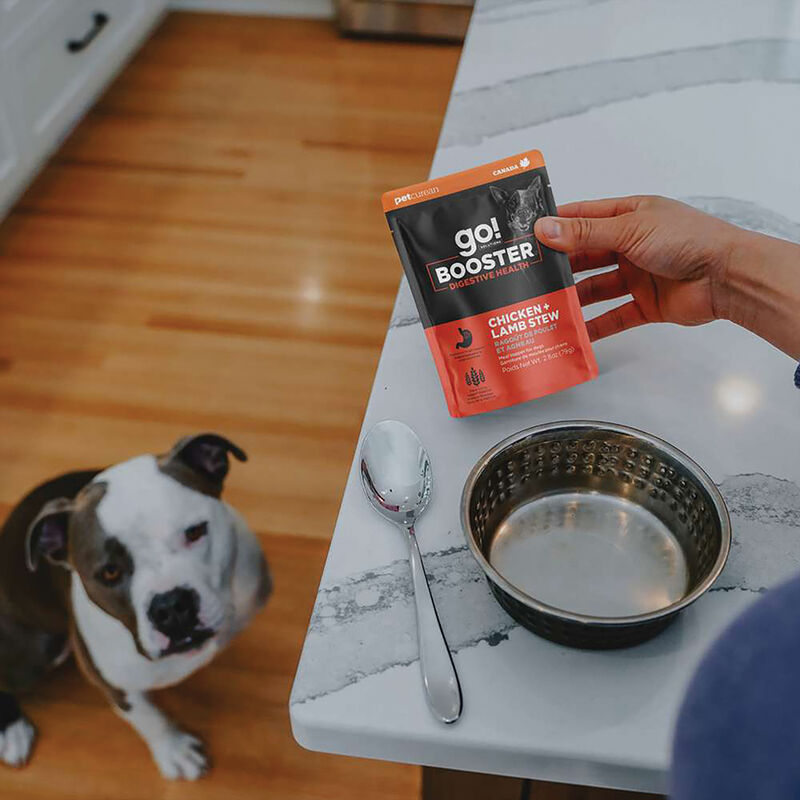 GO! SOLUTIONS,  BOOSTER Digestive Health Chicken + Lamb Stew - 78 g - Wet Dog Food image number null