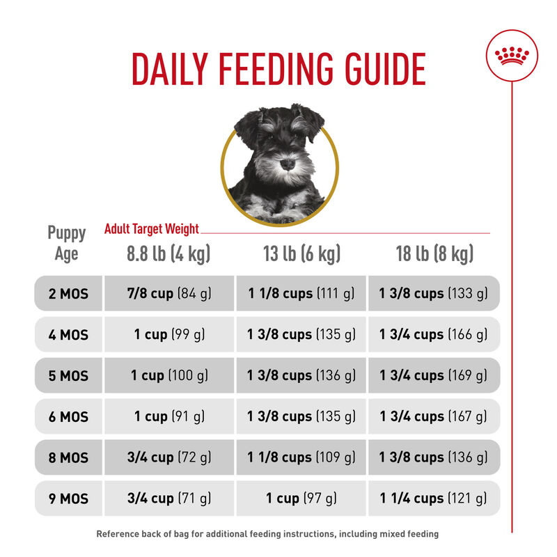 Royal Canin, Breed Health Nutrition Miniature Schnauzer Puppy 2.5LBS - Dry Dog Food image number null