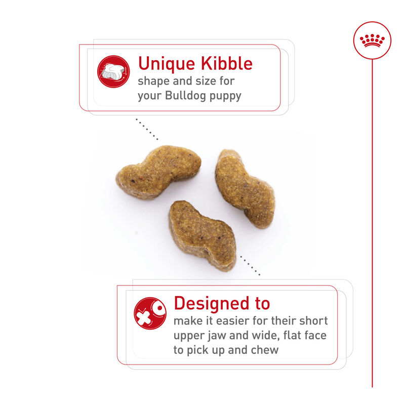 Royal Canin, Breed Health Nutrition Bulldog Puppy - Dry Dog Food image number null