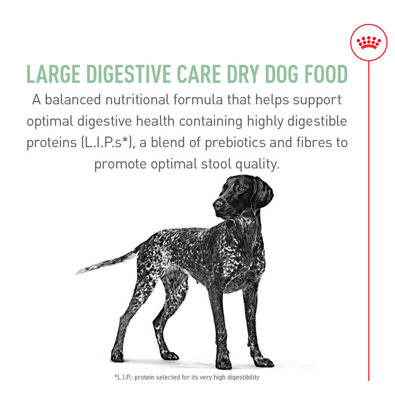 Royal Canin, Size Health Nutrition Large Digestive Care - Dry Dog Food image number null